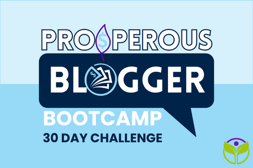 Prosperous-Blogger-Bootcamp Prosperous Bloggers Bootcamp